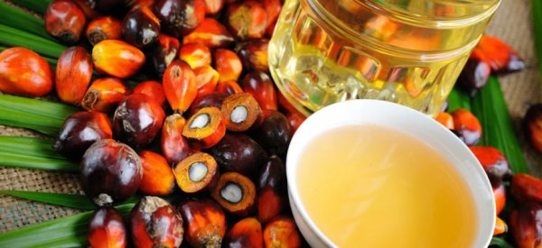 Россия увеличила импорт пальмового масла - «Здоровье»