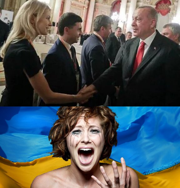 Рукопожатие Поклонской с Эрдоганом вызвало истерику в Киеве - «Технологии»