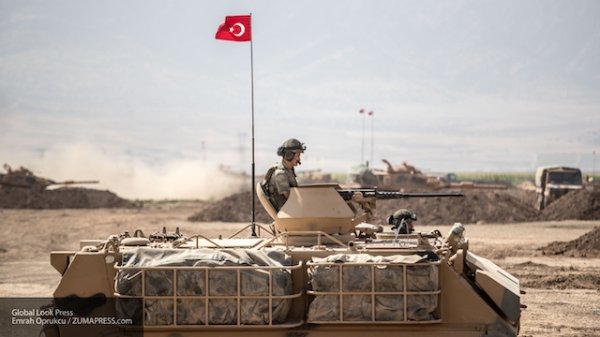 Турция в реальных боях задушит любую армию Ближнего Востока — эксперт - «Новости Дня»