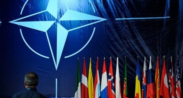 В НАТО поддержали «формулу Штайнмаера» - «Военное обозрение»