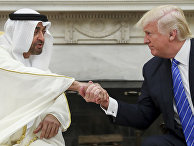 Миллионы долларов: как ОАЭ заполучили иностранных агентов в США (Al Jazeera, Катар) - «Политика»