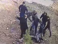 Российские подростки толпой набросились на сверстника и сняли избиение на видео - «Происшествия»