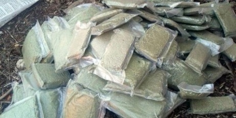 У жителя Донецкой области полиция изъяла более 20 кг марихуаны на сумму 1 млн грн - «Происшествия»