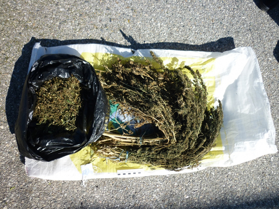 У жителя Кабардино-Балкарии изъяли свыше 3 кг наркотиков
