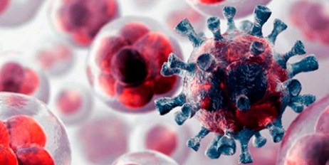 Ученые пришли к выводу, что самый эффективный способ борьбы с онкологией - уморить раковые клетки голодом - «Происшествия»