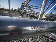 Gazeta.pl (Польша): польский концерн отказывается от российского газа? - «Политика»