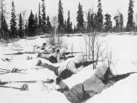 Hufvudstadsbladet (Финляндия): Зимняя война была неизбежна - «Общество»