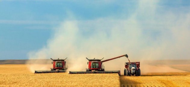 Казахстан недобрал 3 млн. тонн зерна по итогам 2019 года - «Спорт»