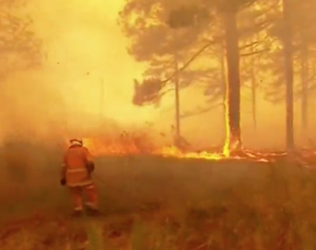 Пожары в Австралии перешли в разряд "катастрофических" - «Новости дня»