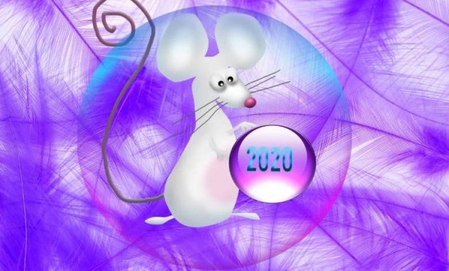 Предстоящий 2020 год белой Крысы таит в себе опасности - «Общество»