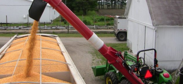 В России новый зерновой трейдер «подмял» под себя экспорт зерна в Египет - «Спорт»