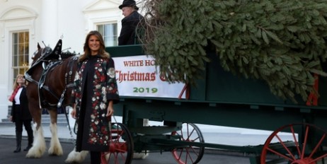 Мелания Трамп встретила официальную рождественскую елку Белого дома - «Политика»