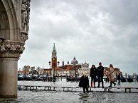OONachrichten (Австрия): россияне пожертвовали 1 миллион евро на восстановление Венеции - «Новости Дня»