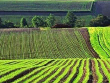 СБУ принуждает украинских фермеров отказываться от земли - «Военное обозрение»