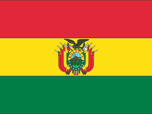 Высшие чиновники Боливии уходят в отставку вслед за президентом - «Здоровье»