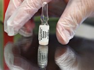 Доктор Левин: почему Европа помогает Украине не вакциной от кори, а пушками и танками? (Postimees, Эстония) - «Общество»
