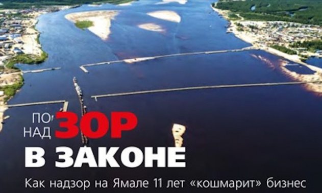 «Волк надзорный»: прокурора ЯНАО обвинили в злостном препятствовании правосудию - «Политика»