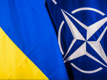 НАТО требует отчета от Украины о полученной помощи - «Военное обозрение»