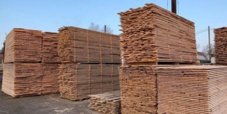 СБУ разоблачила миллионную схему хищения лесоматериалов - «Экономика»
