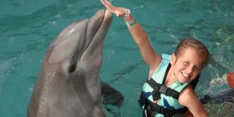 В Мексике агрессивные дельфины покусали и пытались утопить ребенка - «Мир»