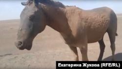 В начале ноября власти Забайкальского края заявили о завершении ремонта дома культуры - «Авто новости»