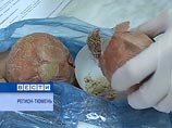Во Внуково из камеры хранения вещдоков пропали 105 кг наркотиков - «Новости дня»
