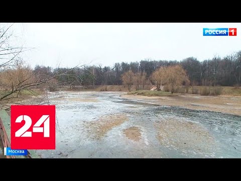 Аномальная погода привела к обмелению московских водоемов - Россия 24 - (видео)