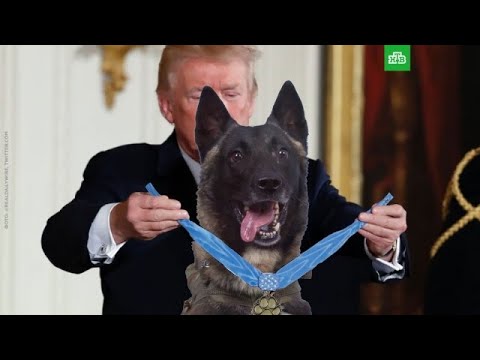 Делает Америку великой: к 3-летию правления Трампа - (видео)