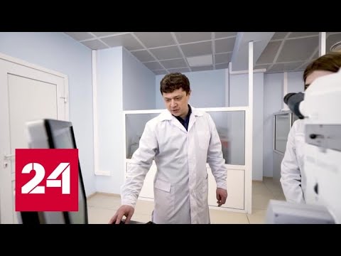 Из ректорского кресла - в министры: сибиряк Валерий Фальков возглавил Минобрнауки - Россия 24 - (видео)