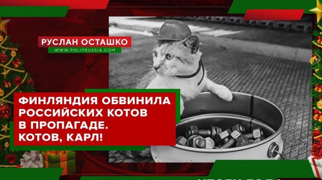Финляндия обвинила российских котов в пропаганде (Руслан Осташко. Итоги Года) - (видео)