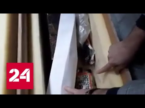 Названа причина падения украинского "Боинга" под Тегераном - Россия 24 - (видео)