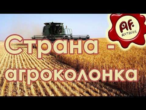 Нидерланды и Россия - кто больше экспортирует сельхозпродукции - (видео)