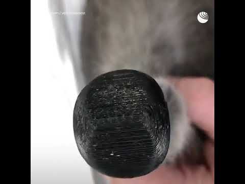 Новые "лапы" для Дымки - (видео)