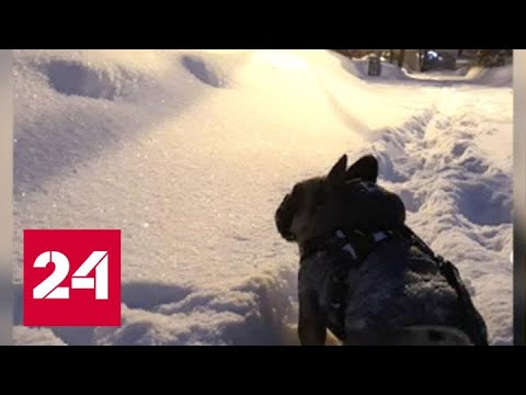 "Погода 24": синоптики предупреждают о сильном ветре и гололеде - Россия 24 - (видео)
