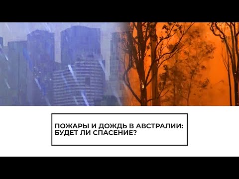 Пожары и дождь в Австралии: будет ли спасение? - (видео)