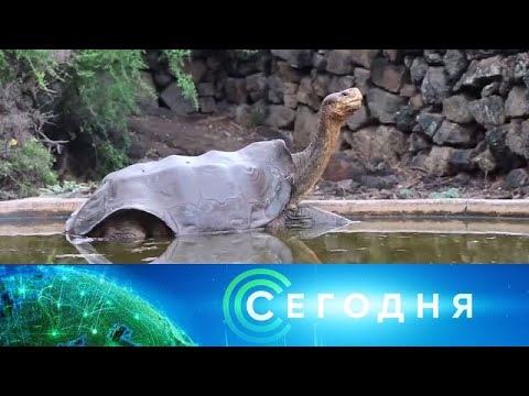 "Сегодня": 12 января 2020 года. 16:00 - (видео)