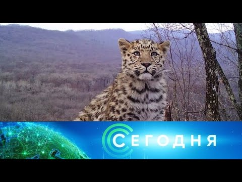 "Сегодня": 3 января 2020 года. 10:00 - (видео)