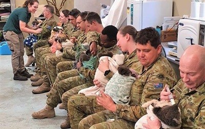 В Австралии военные в свободное время приходят кормить спасенных коал