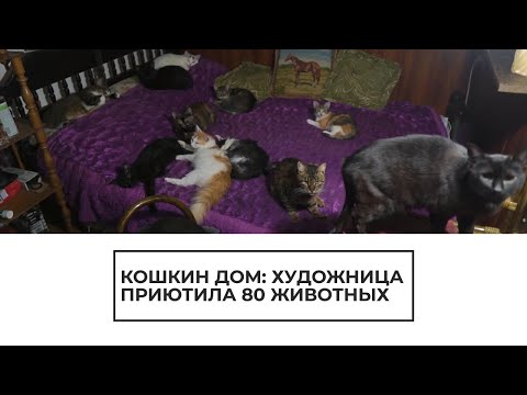 В Курске женщина спасает бездомных животных - (видео)