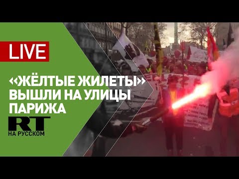 Во Франции прошли протесты «жёлтых жилетов» - (видео)