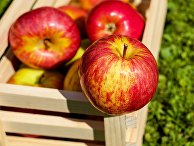 Мнение диетолога: восемь очень полезных свойств яблок (Health, США) - «Наука»