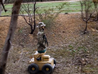 Forbes (США): корпус морской пехоты США открывает футуристический полигон с роботами-мишенями - «Военные дела»