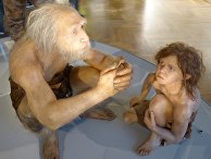 BBC (Великобритания): что нам известно о том, каким был секс с неандертальцами - «Наука»