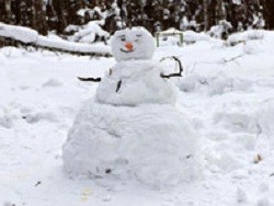 В Калуге неизвестные вандалы уничтожили "парад снеговиков" - «Экономика»