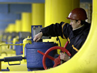 UBR (Украина): Нафтогаз будет искать газ в Западной Украине. Поляки помогут - «ЭКОНОМИКА»