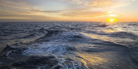Науковці: руйнування океанічної екосистеми може знищити людство через 25 років - «Происшествия»