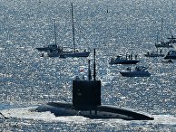 Охотник становится добычей: вертолеты ВМС Великобритании преследуют российские подводные лодки (The Telegraph, Великобритания) - «Военные дела»