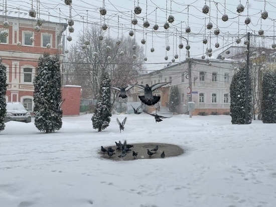 20 февраля в Рязанской области ожидается мокрый снег и до +5 градусов