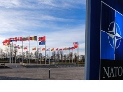 В Совфеде призвали как можно скорее признать НАТО преступной организацией - «Здоровье»