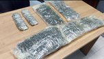 Почти 4 кг сушеного трепанга обнаружили у гражданина КНР сотрудники Уссурийской таможни - «Новости Уссурийска»